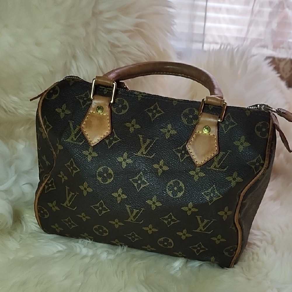 Louis Vuitton Monogram Mini Bag - Brown and Tan